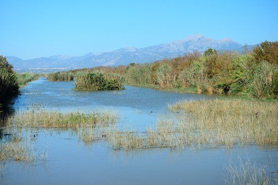 Parc Natural de S'Albufera